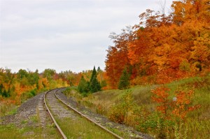 4.5 miles up Cramer Rd. Fall 2014